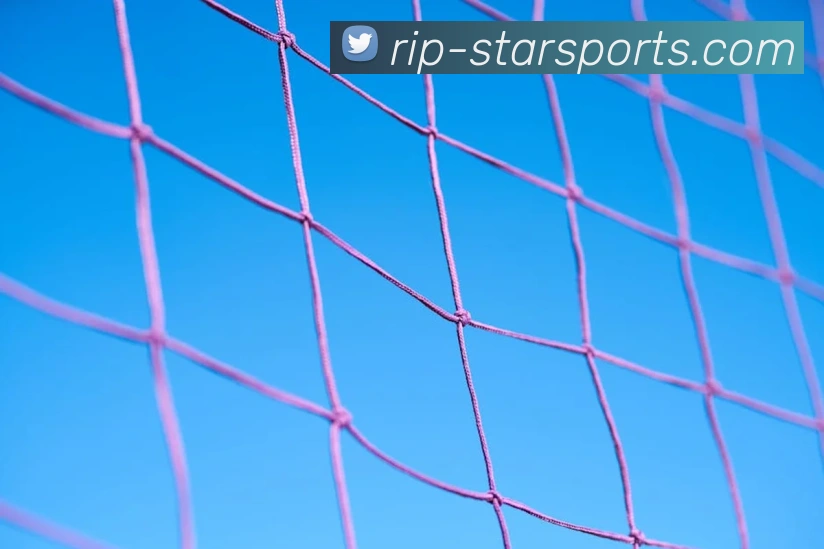 星空体育APP 高清赛事图